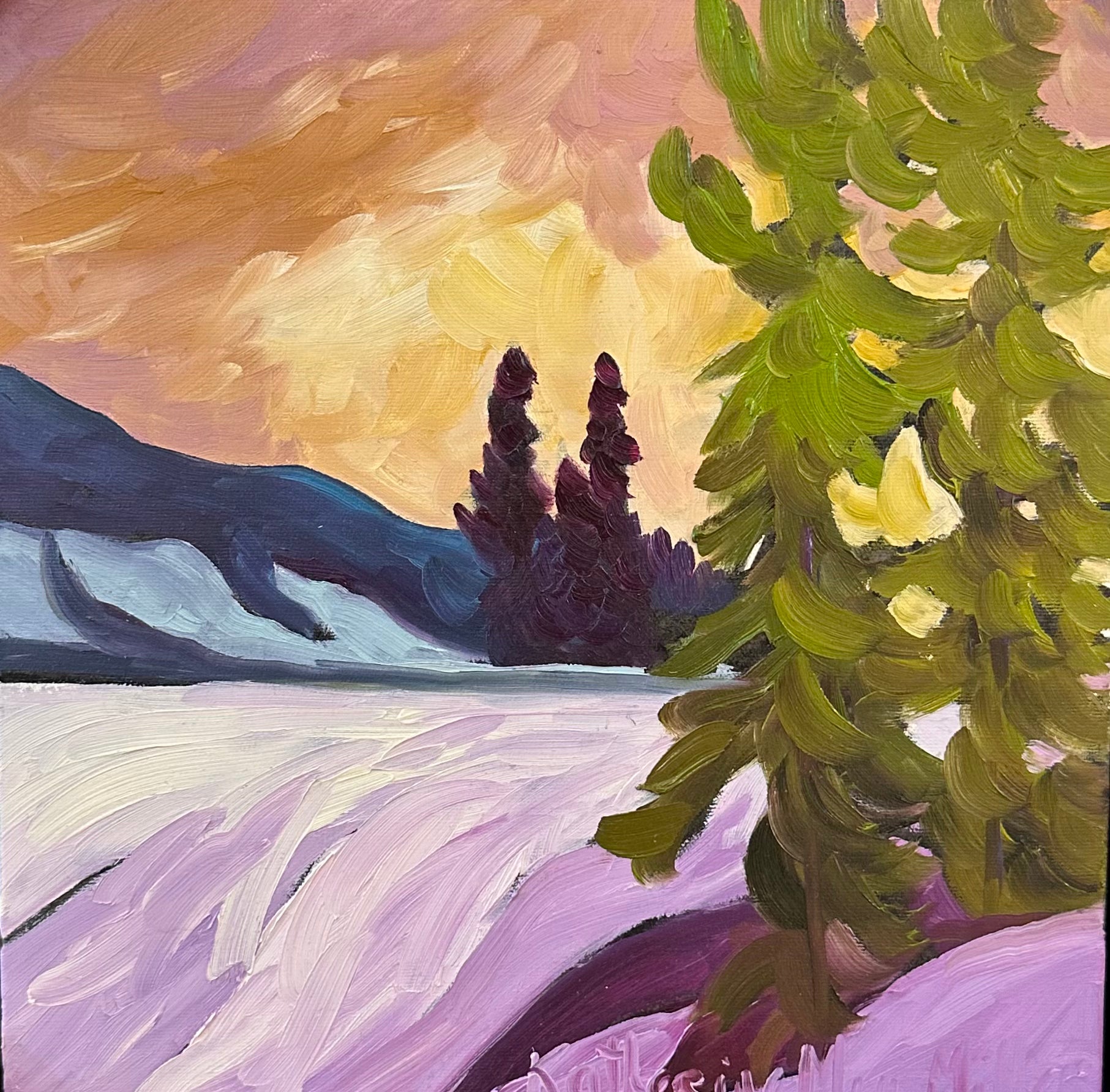 'Winter Solstice 3' Panorama, BC
