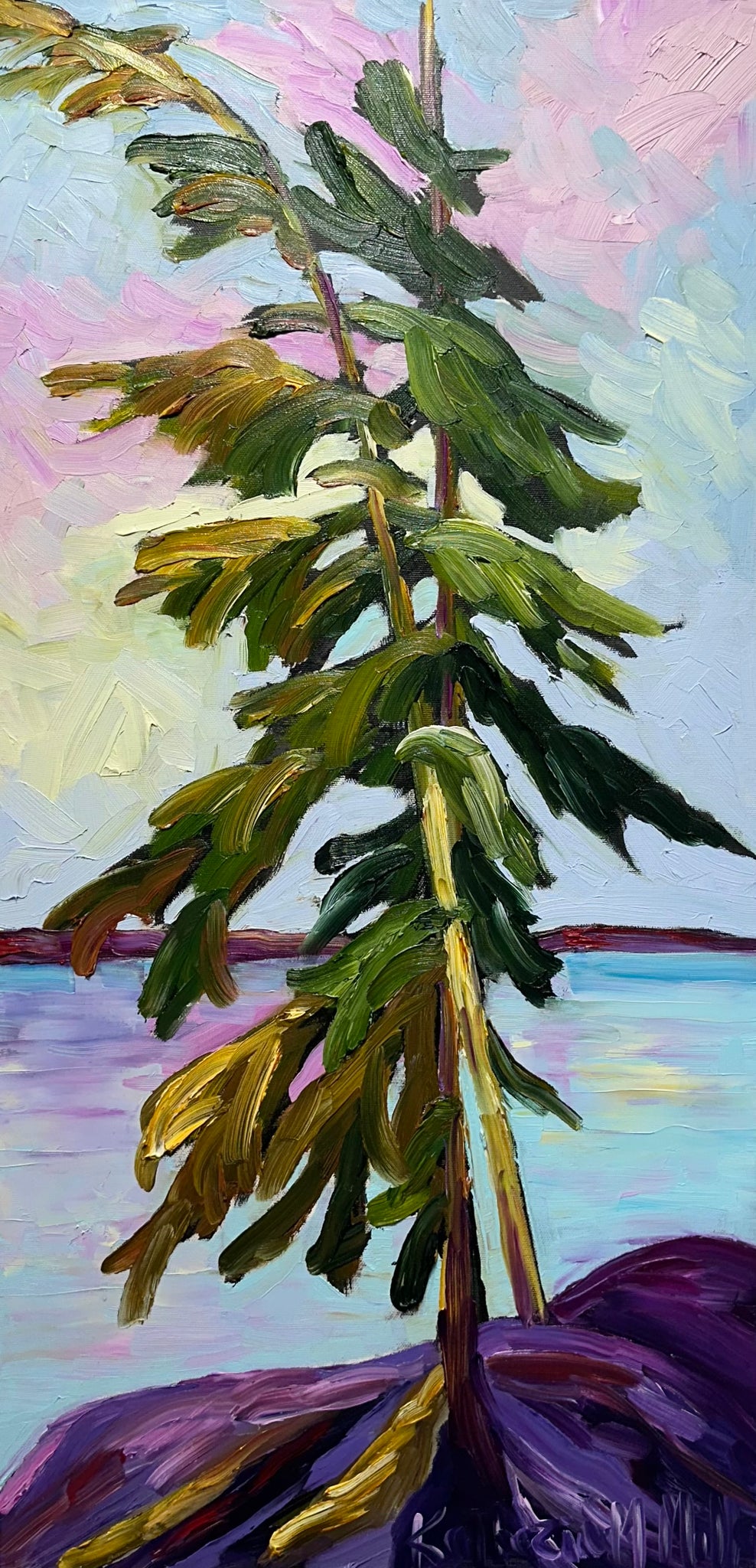 991 "Temagami Pine" Temagami Series